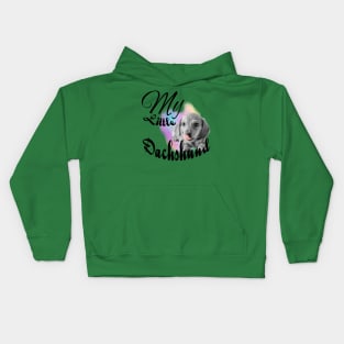 My Little Dachshund Kids Hoodie